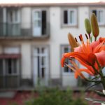 Serviços disponíveis na Dear Porto Guest House